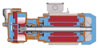 安徽專業體育木地板批發